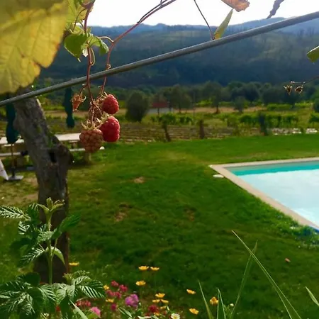 Quinta Da Aranha * アルコス・デ・ヴァルデヴェス