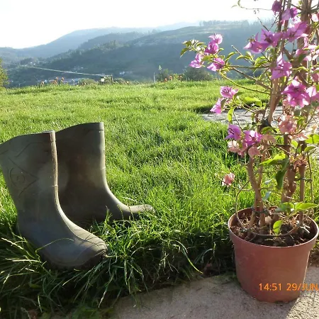 別荘 Quinta Da Aranha *