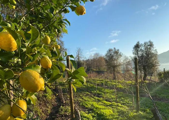 Quinta Da Aranha Feriehus